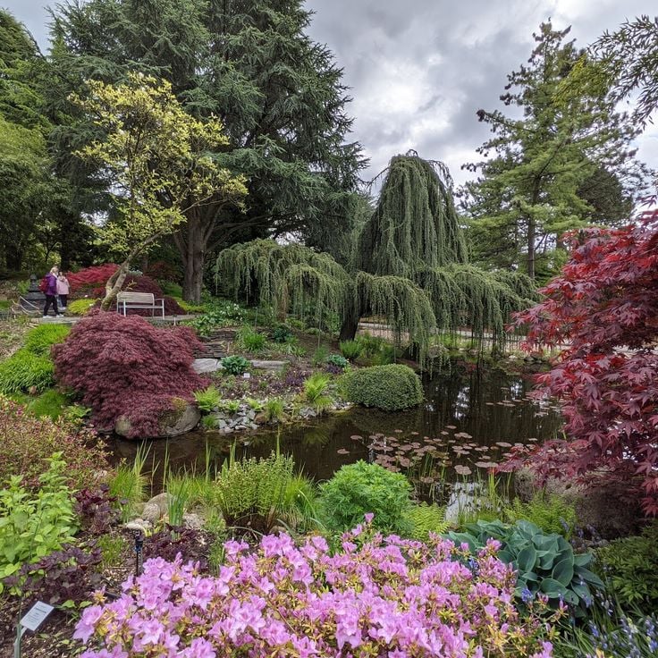 Botanisk park