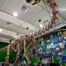 Gondwana – Das Praehistorium