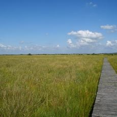 Wildes Moor bei Schwabstedt