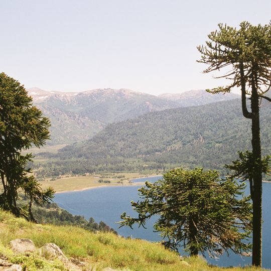 Reserva de biosfera Andino Norpatagónica