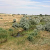 Dombarovsky District