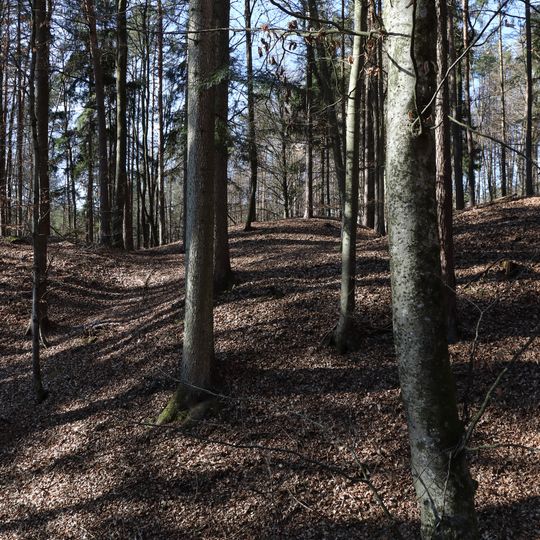 Hügelgräberfeld Seitenholz