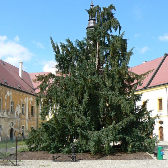 Tis na nádvoří zámku