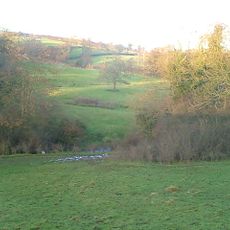 Atlow moated site, enclosures and causeway