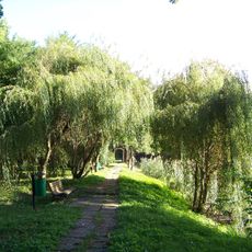 Park dworski w Oldrzyszowicach