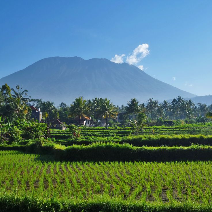 Bali Island