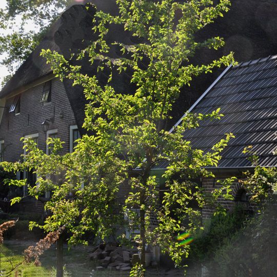 Hallenhuisboerderij met wagenschuur, bakhuis en houten karnmolen