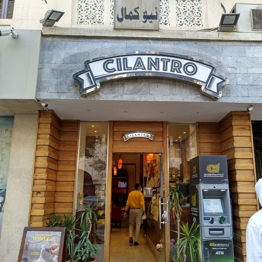 Cilantro