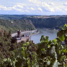 Rhine Gorge