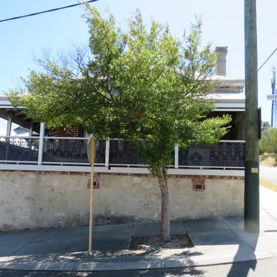 House, 28 Fothergill Street