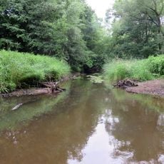 Naturschutzgebiet Diekbek