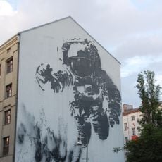Astronaut Cosmonaut