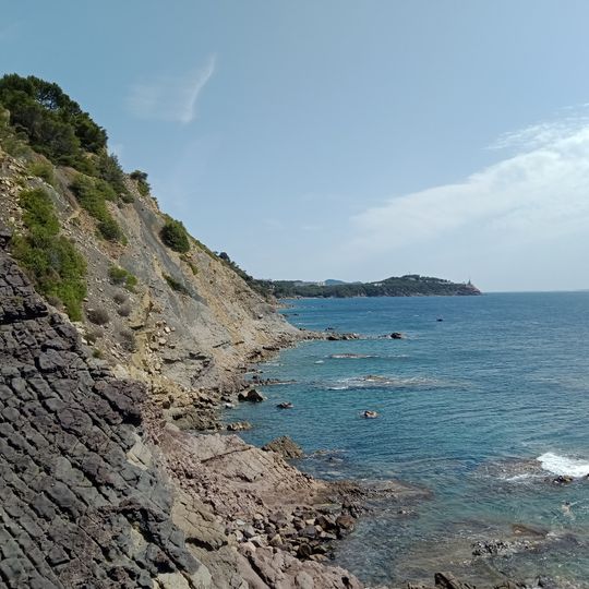 Punto di vista panoramico