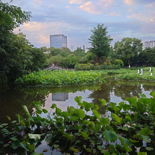 Culture Park （South Gate）