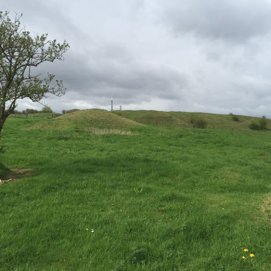 Berryhill Fields