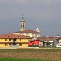 Calcinate