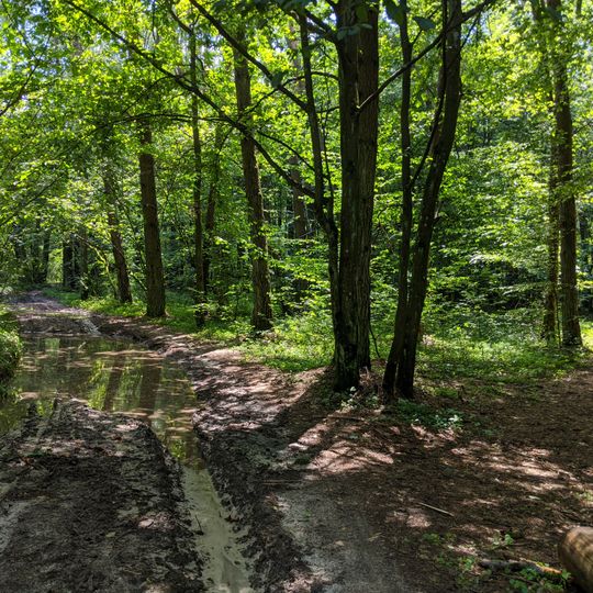 Horynski Krutoskhyly