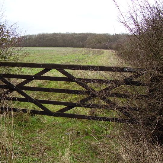 East Wood, Great Casterton