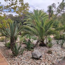 Essais Botanical Garden