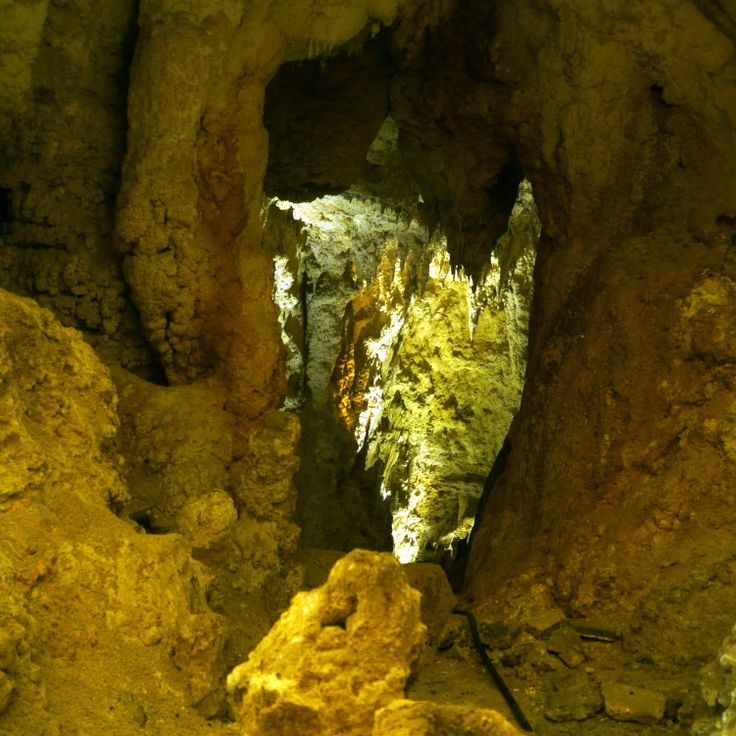 Waitomo-Glühwürmchenhöhlen