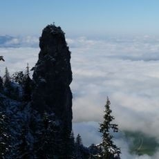Gelber Wandschrofen