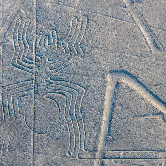 Nazca Spider geoglyph