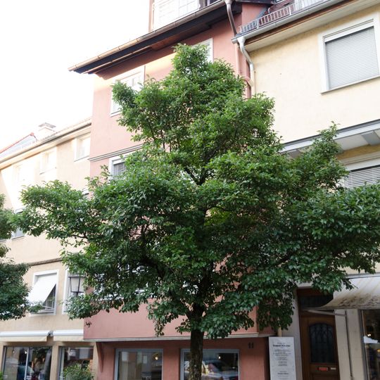 Wohn- und Geschäftshaus