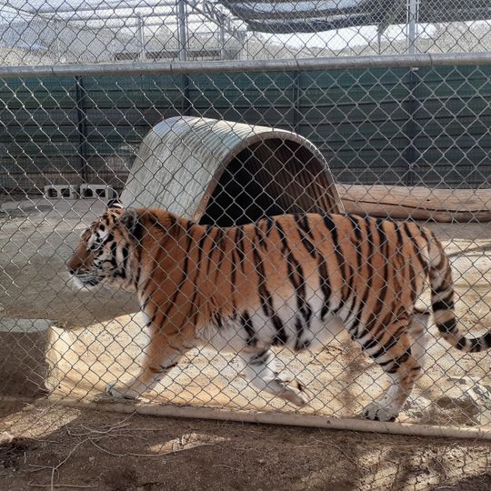 Sierra Safari Zoo