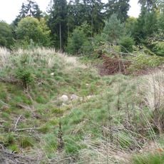 Ringwall Dreibornskopf