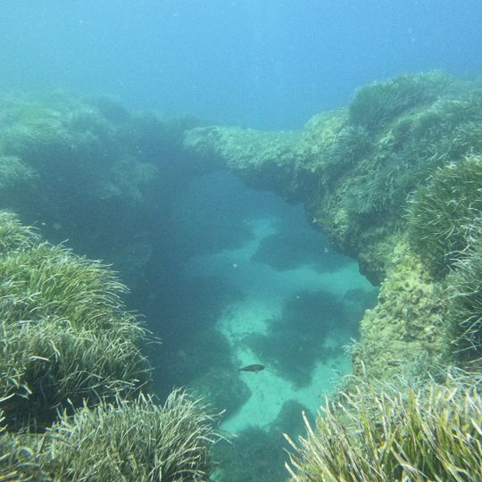 Ċirkewwa Arch Dive Site