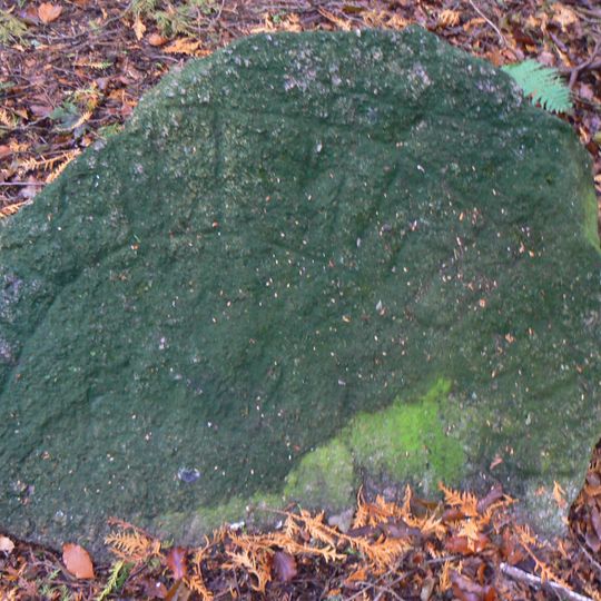 Östergötlands runinskrifter 110