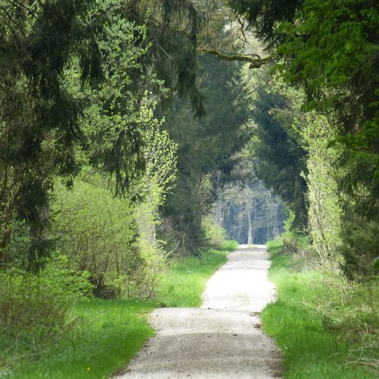 Augsburg - Westliche Wälder