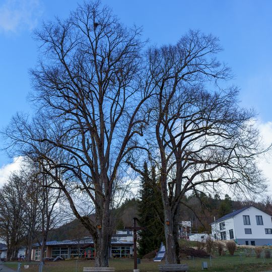 2 Linden mit Kreuz