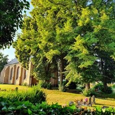 Linden bei Kirche Beiersdorf
