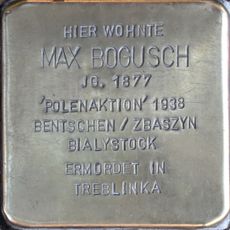 Max Bogusch