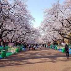 Ueno Onshi Park