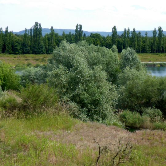Kiesgrube am Hardtwald Durmersheim