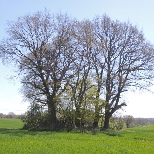 Großsteingrab Tessin