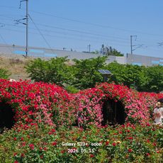 Hayang Scenic Agriculture Complex