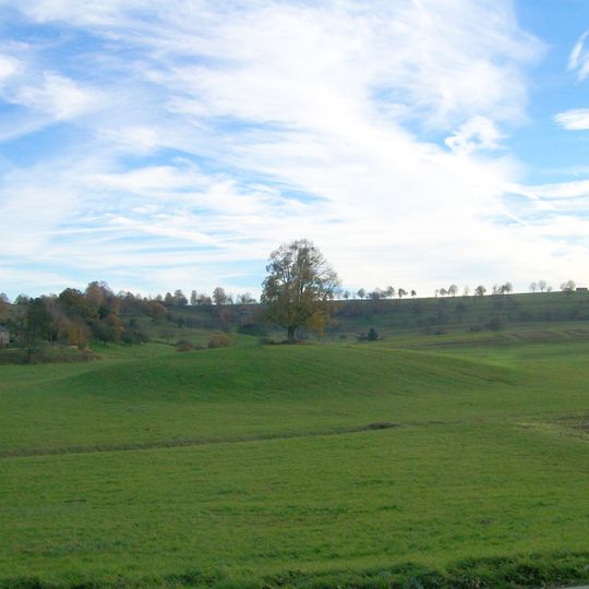 1 Linde auf dem Weiherbuckel