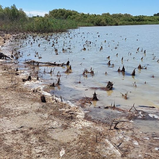 Complejo endorreico de El Puerto de Santa María