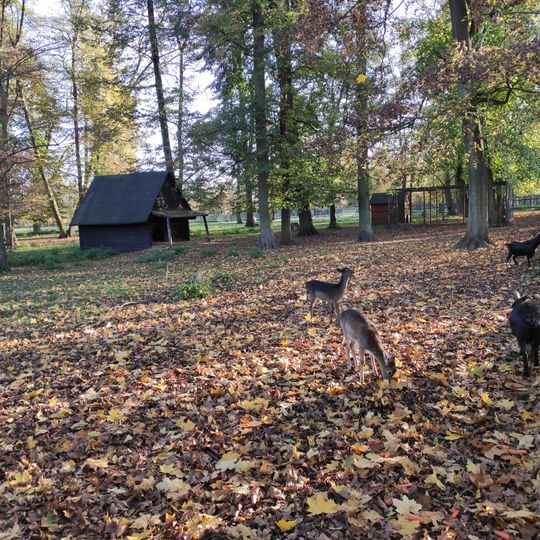 Daňčí obora, Karwina