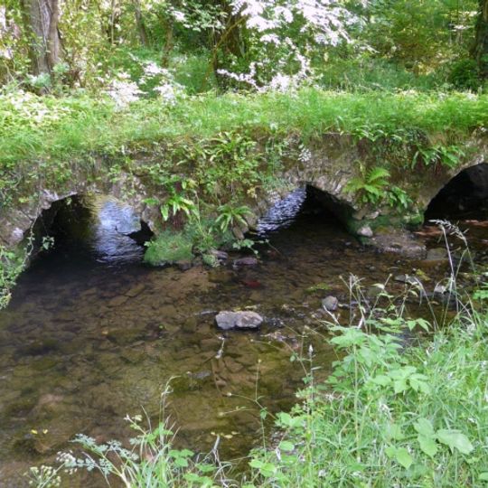 Packhorse Bridge over Burry Pill