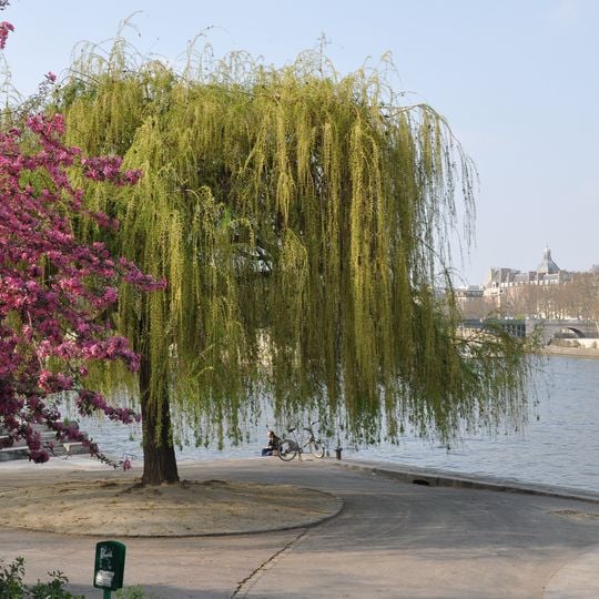 Musée de la sculpture en plein air