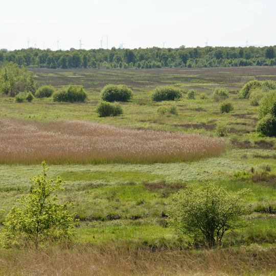 Herrenmoor bei Kleve