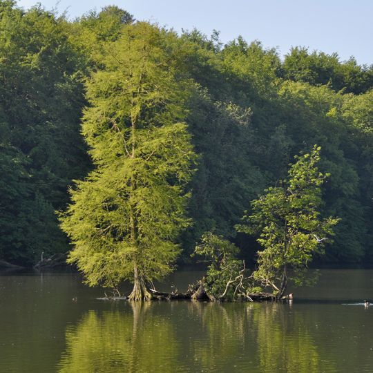 Vijvers van het park van Tervuren