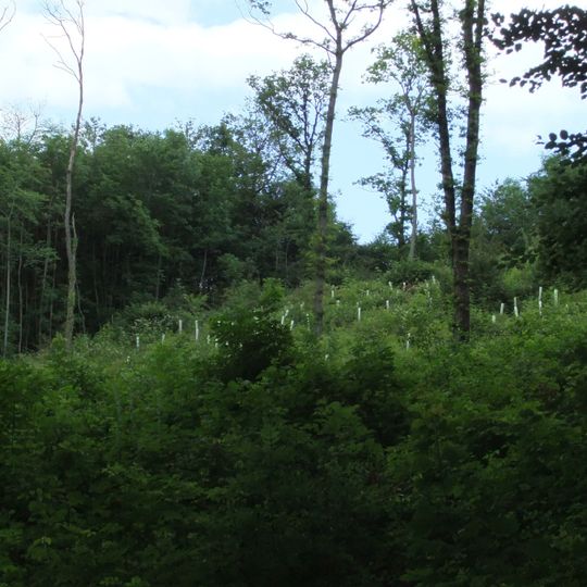 NSG Oestlicher Teutoburger Wald