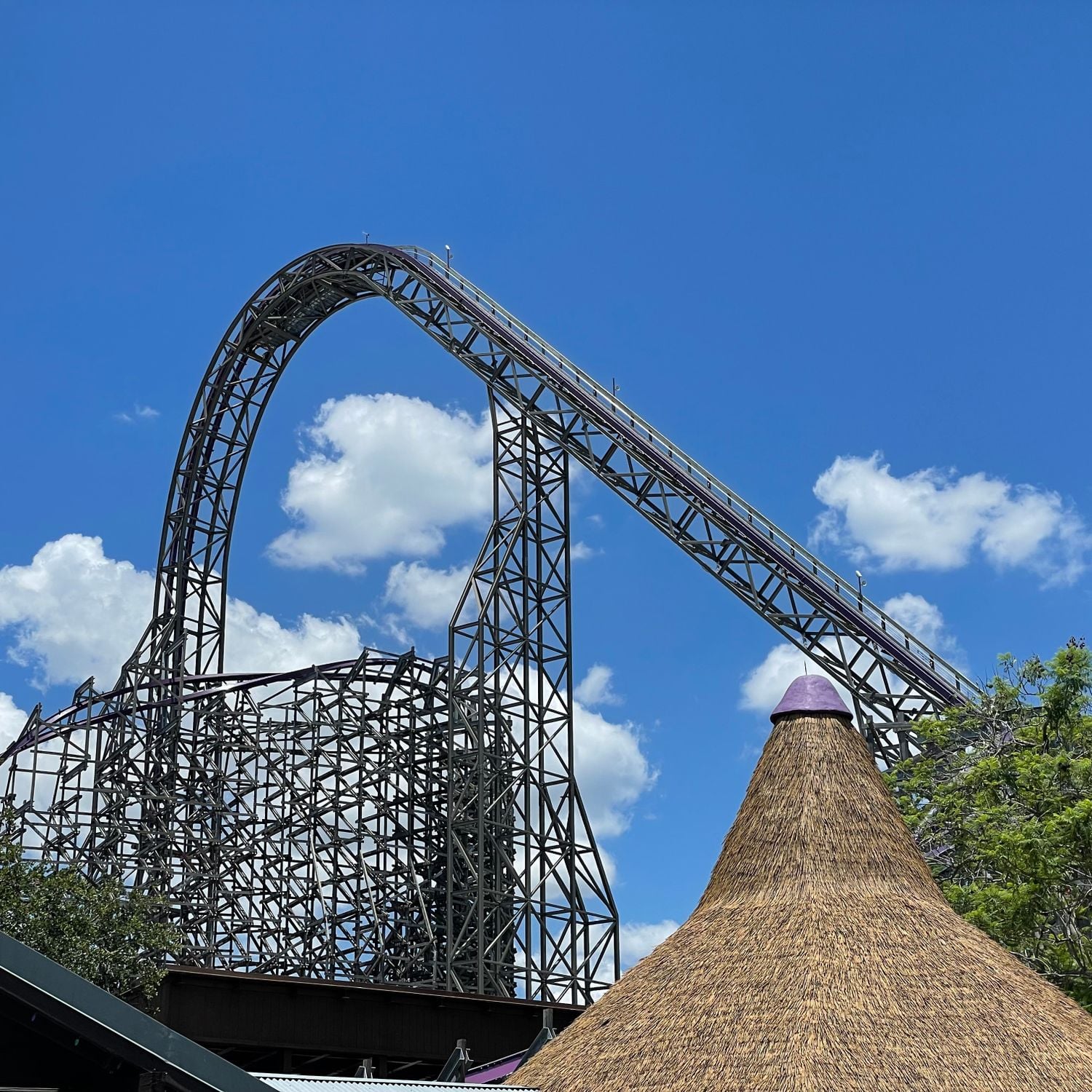 Iron Gwazi - Hybrid roller coaster at Busch Gardens Tampa Bay