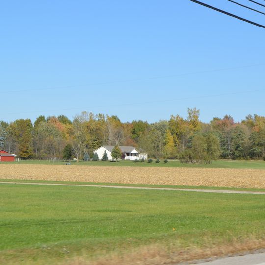 Springfield Township