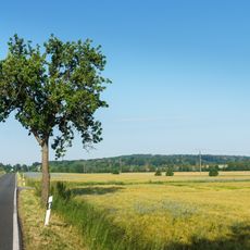 Dornreichenbacher Berg